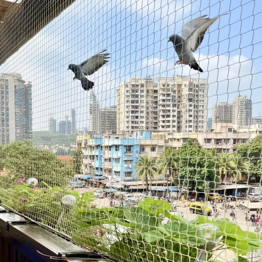 Shiv Birdnetting service